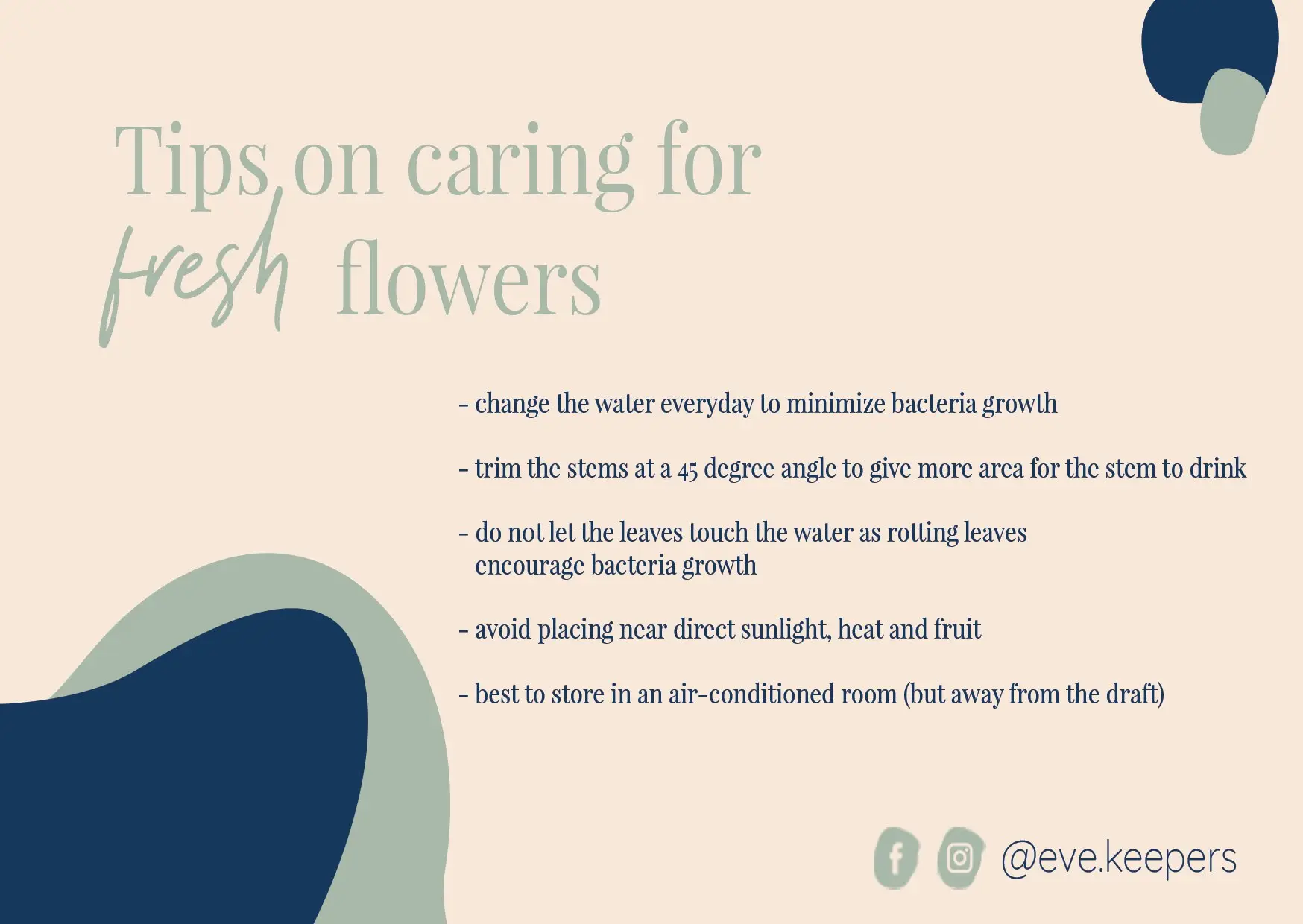 A printed copy of the care tips card as shown in the image will be sent along with the fresh flower arrangement.