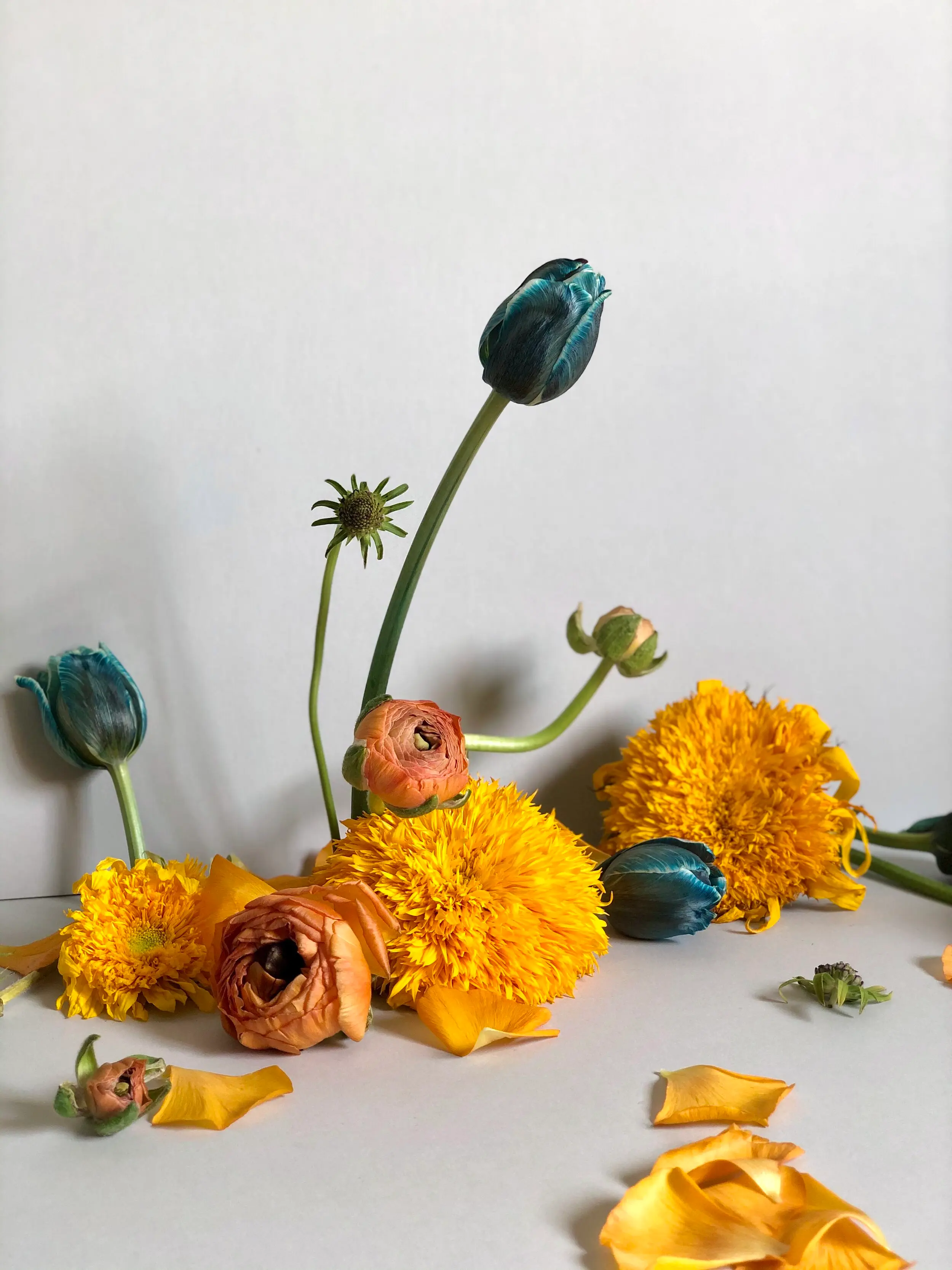 Stop Motion, Slow Motion — 1