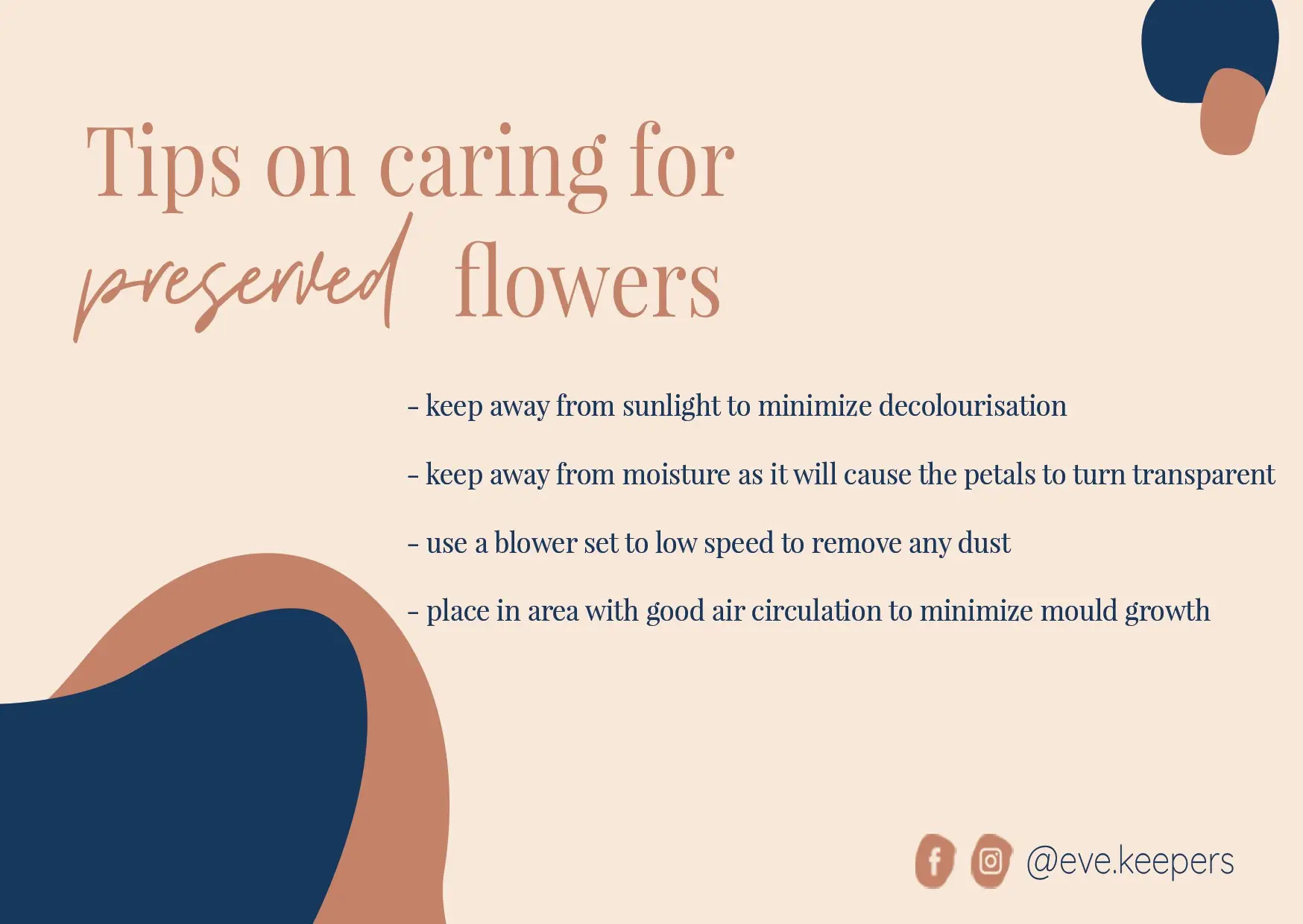 A printed copy of the care tips card as shown in the image will be sent along with the preserved flower arrangement.