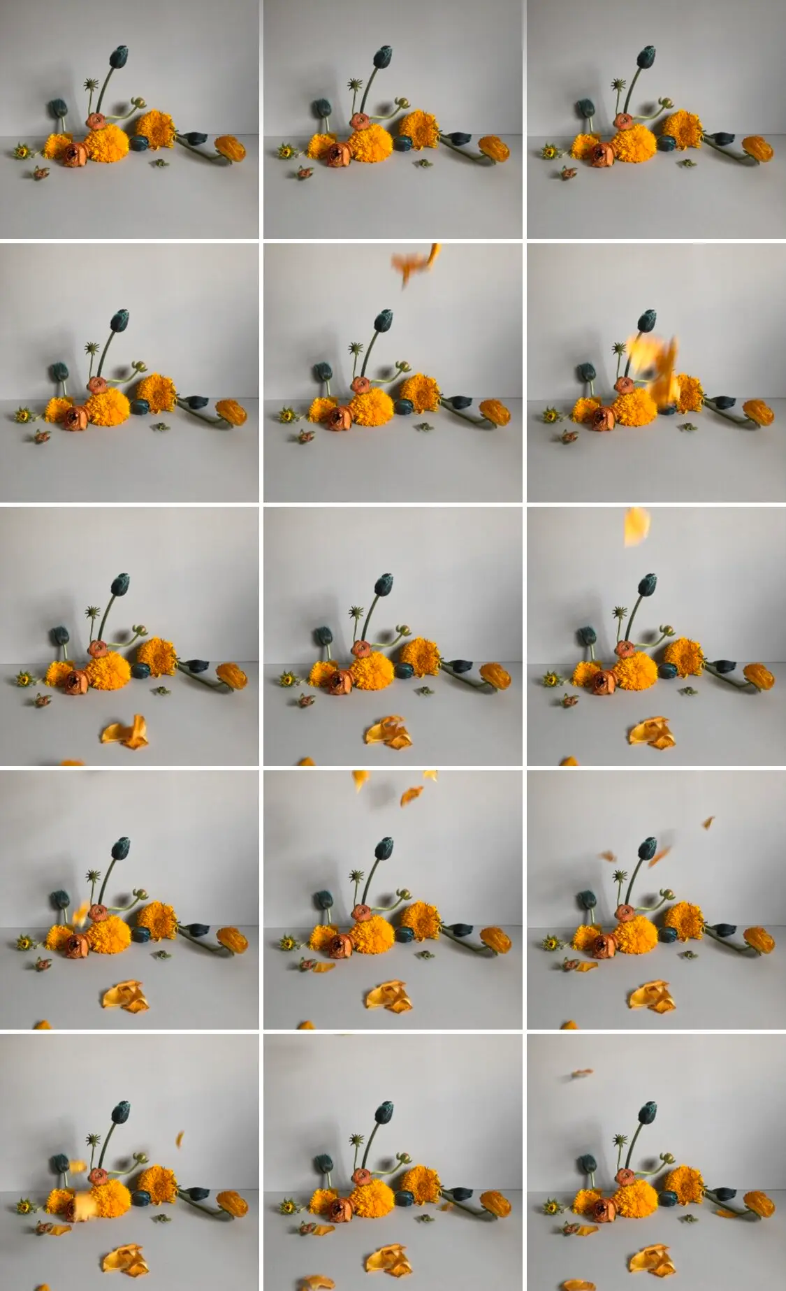 The state of reality behind every “perfect” image