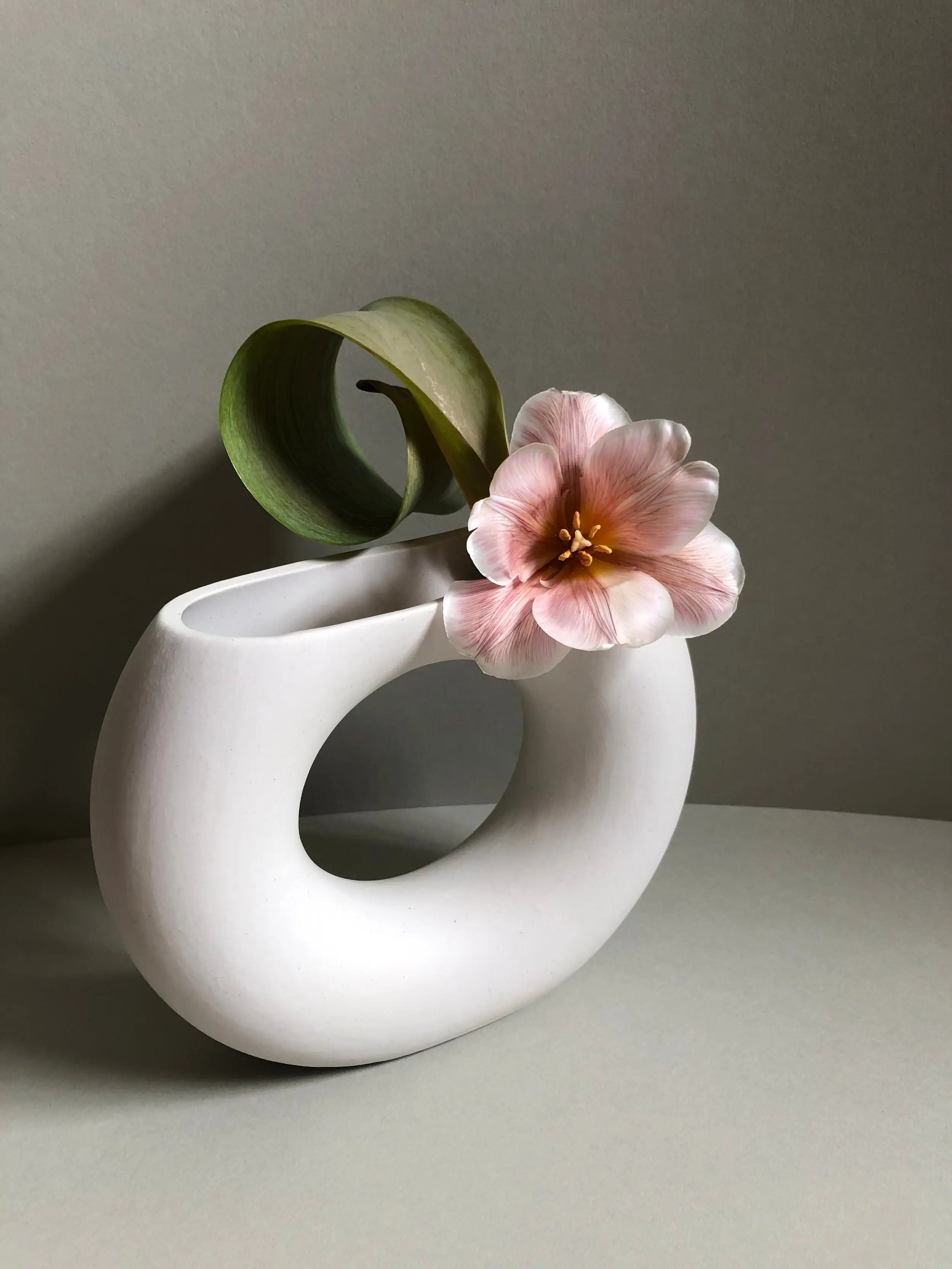 Vessels in Vogue — 5