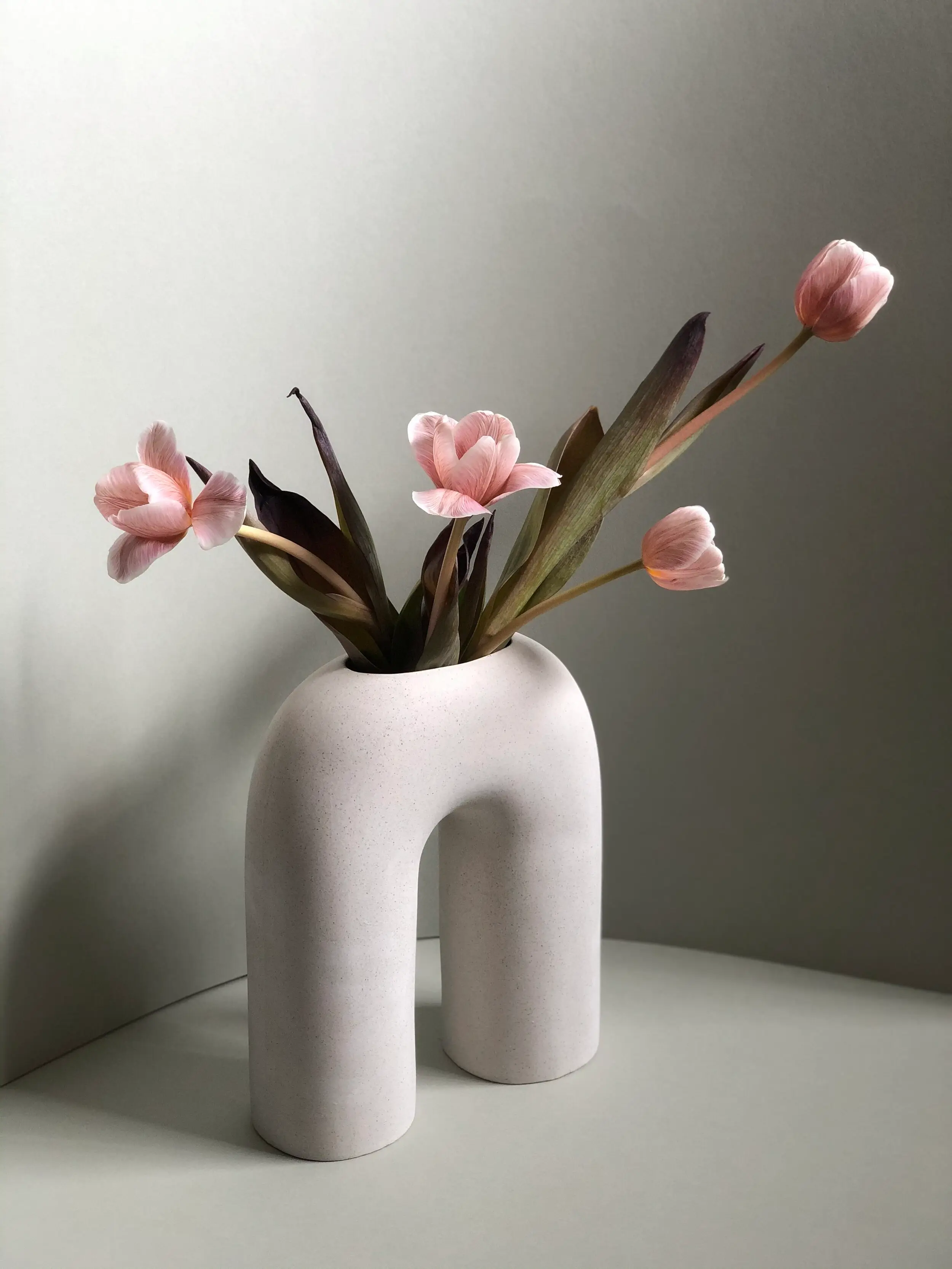 Vessels in Vogue — 7