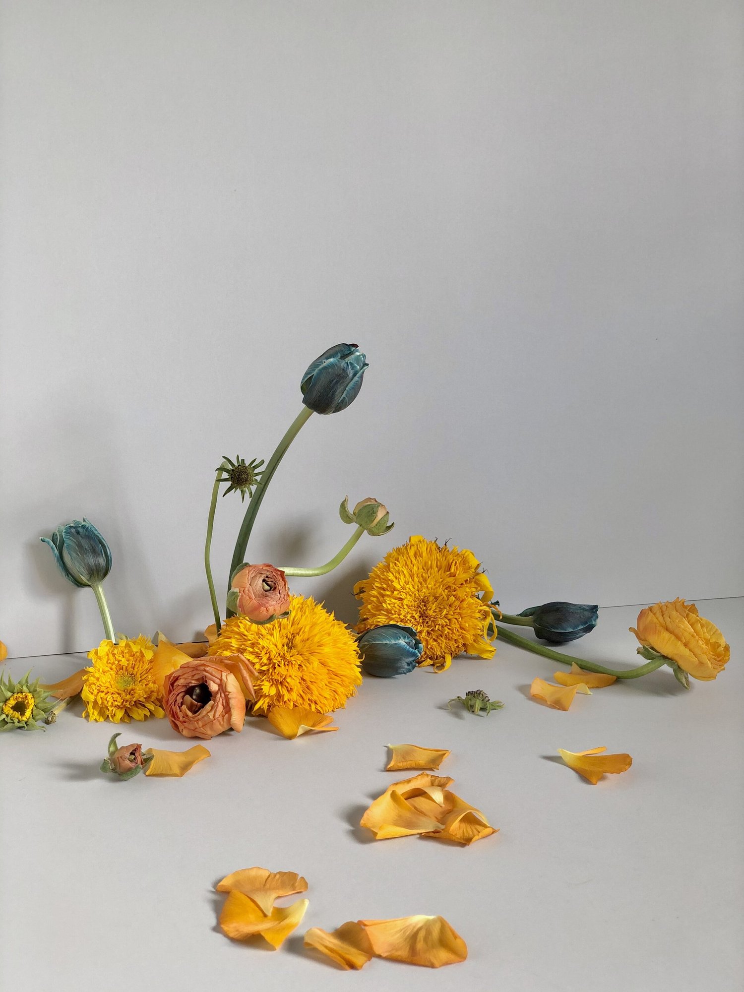 Stop Motion, Slow Motion