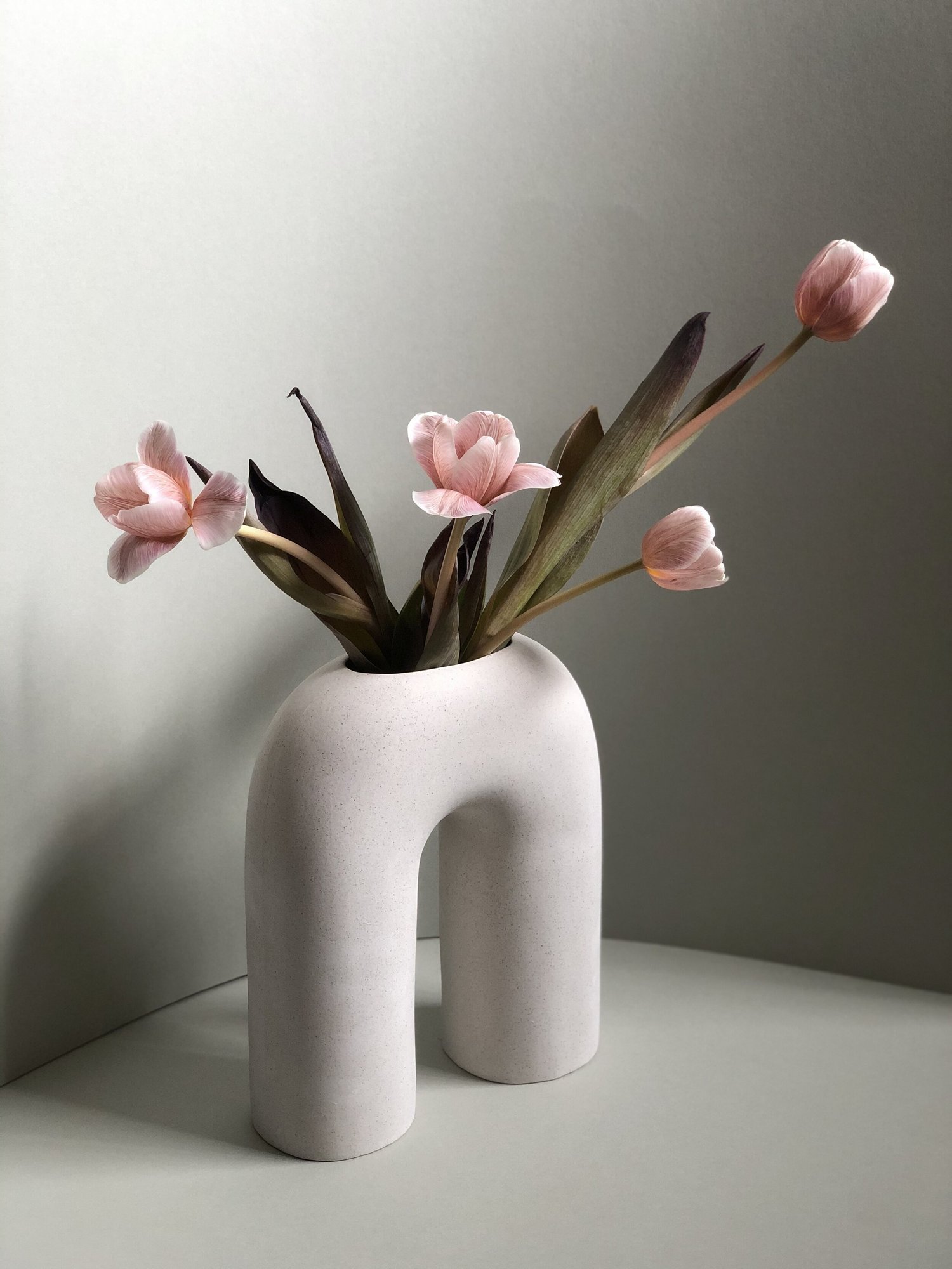 Vessels in Vogue